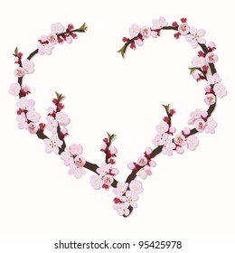 Branch of apricot flowers in the shape of heart