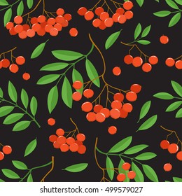 Branch of ash berries isolated on black. Seamless pattern with color mountain ashes. Bright berries branches.