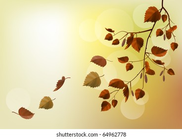 Branch with autumn leaves