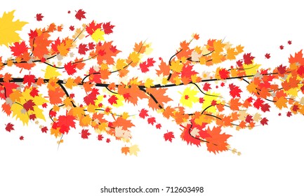 branch with autumn leaves