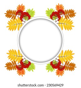 branch with autumn leaves and berries of wild ash,vector illustration