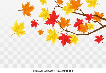 Branch with autumn leaves on transparent background. Yellow foliage collection. Vector Illustration. Fall flying leaves png, autumn nature vector design elements for decoration