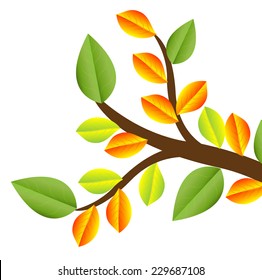 branch with autumn leaves on a white background,vector illustration