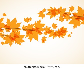 Branch with autumn leaves vector background