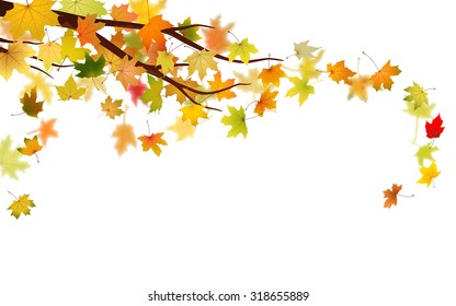 Branch with autumn maple leaves, vector illustration.