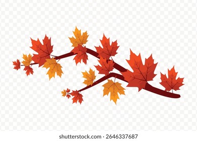 Branch of Autumn Maple Leaves in Warm Tones Isolated on a Transparent Background
