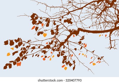 branch of autumn tree