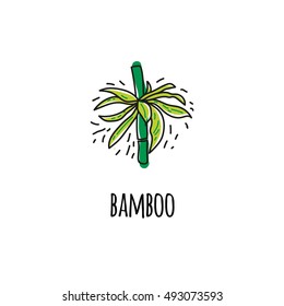 Branch of bamboo. Icon. Hand-drawn. Vector image in the style of Doodle.Logo template