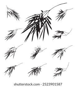 Branch of bamboo leaves on white background isolated. Vector illustration line art drawing. Botanical hand drawn element. Black and white element.