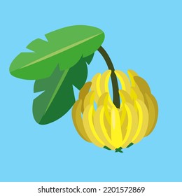 Branch with bananas, illustration, vector, cartoon