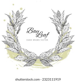 Verzweigung der Lorbeerblätter mit Mais, Pfeffer, handgezeichnet, einzelne Illustration. Skizze aus biologischem Kräuterprodukt im Stilstil mit Schriftzeichen auf weißem Hintergrund. Kräuter, Logo-Konzept für natürliche Aromen