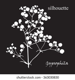 Branch of beautiful hand-drawn silhouette gypsophila in black, white and red colors. Vector illustration