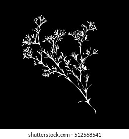 Branch of beautiful hand-drawn silhouette gypsophila in black and white colors. Vector illustration