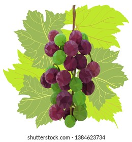 branch of beautiful multi-colored low-poly grape framed by patterned leaves on a white background