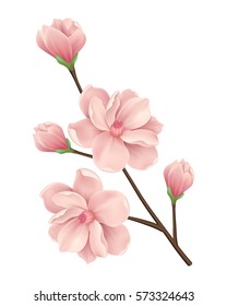 Branch with beautiful pink flowers