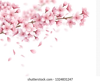 Branch with beautiful sakura flowers and falling petals realistic composition on white background vector illustration