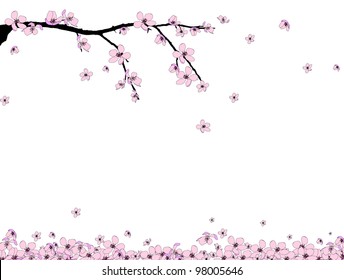 Branch of beautiful seasonal pink cherry blossom