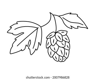 Una rama de lúpulos de cerveza con hojas. Para empaque, plantilla, cerveza. Ilustración dibujada a mano en forma de doodle.