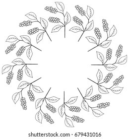 Branch with berries of Chinese Schisandra, isolated on white. One of the best adaptogen herbs for stress relief. Decorative border, round frame, template.