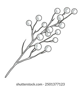 Branch with berries detailed label monochrome with sprig of rowan for use in interior design in Scandinavian style vector illustration