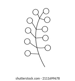 Branch with berries. Floral sign decoration book text. Field herbs. Linear sketch of a garden plant. Hand drawn vector illustration in doodle style. Elegant isolated element.