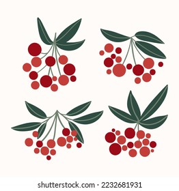 Branch with berries and green leaves. Set of four bunches of red rowan.