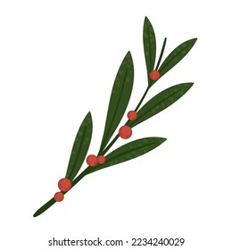 branch and berries icon isolated