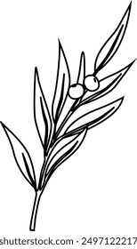 Branch with berries and leaves design.