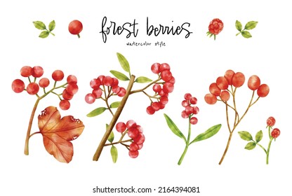 Branch of berries with leaves  watercolor illustration for Decorative Element 