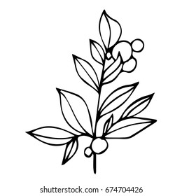 Branch with berries on white background vector illustration. Doodle style. Design icon, print, logo, poster, symbol, decor, textile, paper, card. 