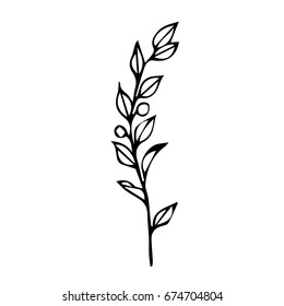 Branch with berries on white background vector illustration. Doodle style. Design icon, print, logo, poster, symbol, decor, textile, paper, card. 
