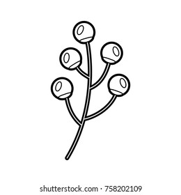 branch berries plant flora natural image