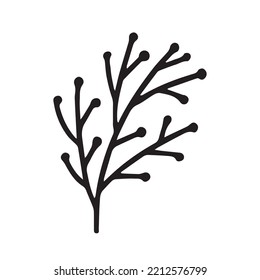 Rama con bayas ilustraciones de doodle vectorial. Planta de Navidad dibujada a mano