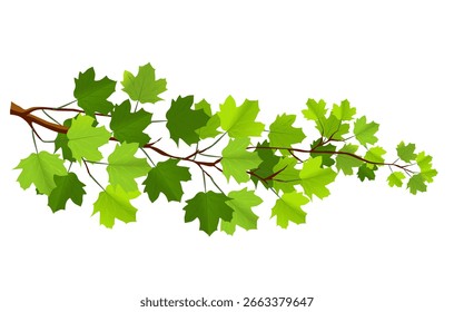 Branch Big Leaves Vetor, Desenho Animado Folhas Ilustração, branch, verde, fresco, Vetor Design