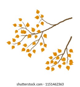 Branch of a birch on a white background. Branch of a tree with yellow leaves. It can be used as a design element in projects and autumn compositions. Vector illustration.