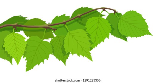 A Branch Of Birch On A White Background, Bright Spring Background, Vector Illustration