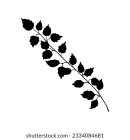 Branch of birch tree or nettle twig with leaves, black silhouette on white. Hand drawn sketch, minimal stencil design. Vector for floral print, eco product package, botanical illustration.