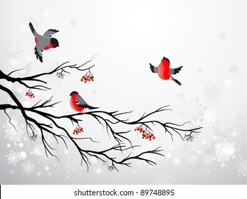 Branch and birds bullfinch with space for text