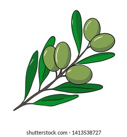 Branch of black olive. Vector illustration isolated on white background. Vector illustration