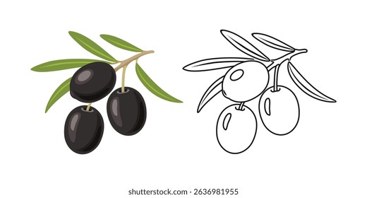 Branch of black olives with green leaves. Color cartoon illustration and outline. Food icon. 