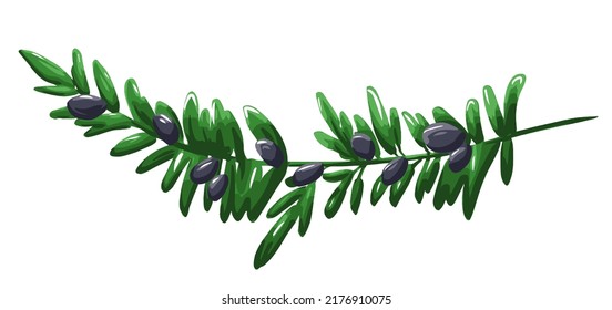 Branch with black olives and leaves in cartoon style