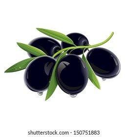 A branch of black olives with leaves and sprays