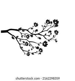 Branch black and white flower isolated on white background.