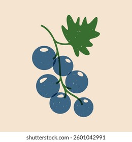 Branch with blackcurrant. Fresh ripe black currant berries with leaves, organic summer fruit, natural sweet currant crop, healthy vegetarian food. Vector cartoon illustration.