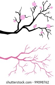 Branch in bloom. isolated on white background