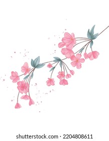 Branch of blooming sakura with flowers, cherry blossom. Flower decoration