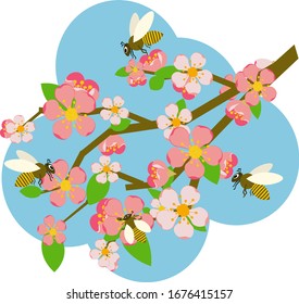 branch blossom sakura or cherry trees on the blue sky background.  Small pink flower and flying same honey bees. Bright illustration in flat style on spring theme. 