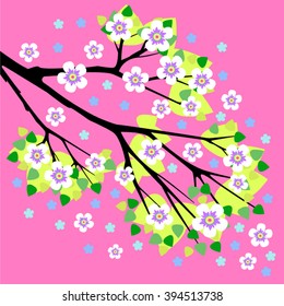 branch of a blossoming apple tree vector illustration