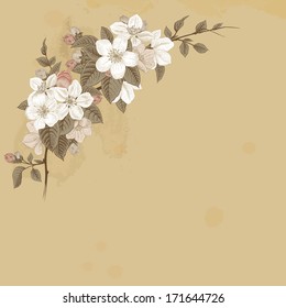 Branch blossoming apple. White and pink flowers with gray leaves on a beige background. 