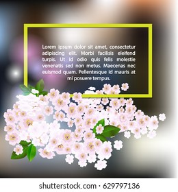 Branch of blossoming cherry on a dark background.Blooming Japanese cherry tree. Place for text can be used for congratulations. Vector illustration